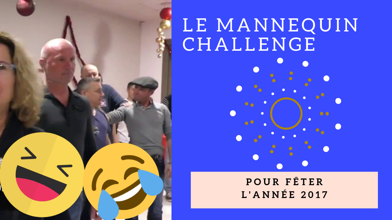 Le mannequin challenge - La Domitienne